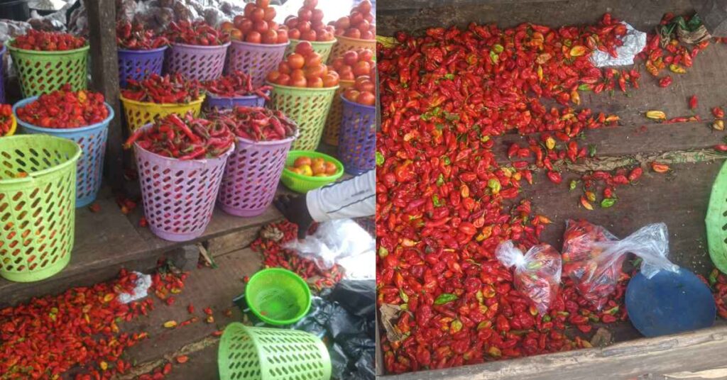 Cost Of Fresh Pepper Per Basket