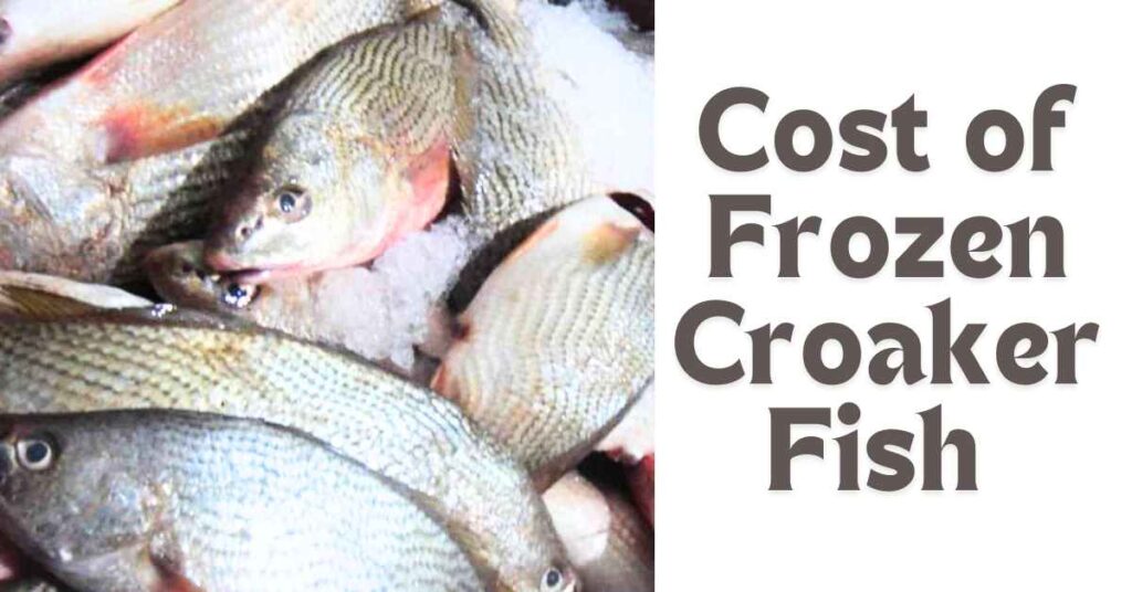 Cost of Frozen Croaker Fish